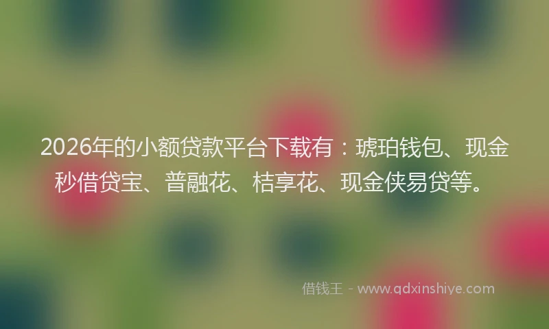 2026年的小额贷款平台下载有：琥珀钱包、现金秒借贷宝、普融花、桔享花、现金侠易贷等。