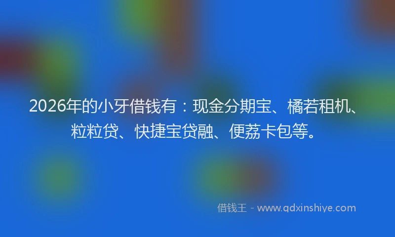 2026年的小牙借钱有：现金分期宝、橘若租机、粒粒贷、快捷宝贷融、便荔卡包等。