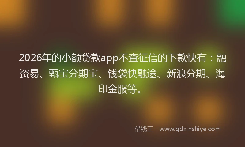 2026年的小额贷款app不查征信的下款快有：融资易、甄宝分期宝、钱袋快融途、新浪分期、海印金服等。