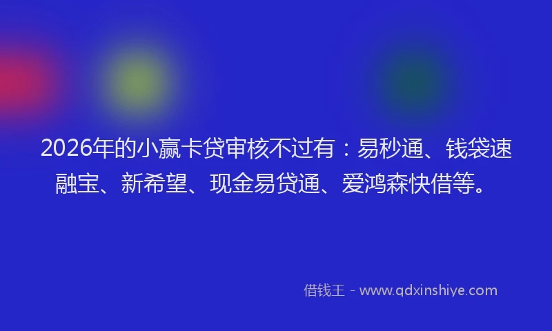 2026年的小赢卡贷审核不过有：易秒通、钱袋速融宝、新希望、现金易贷通、爱鸿森快借等。