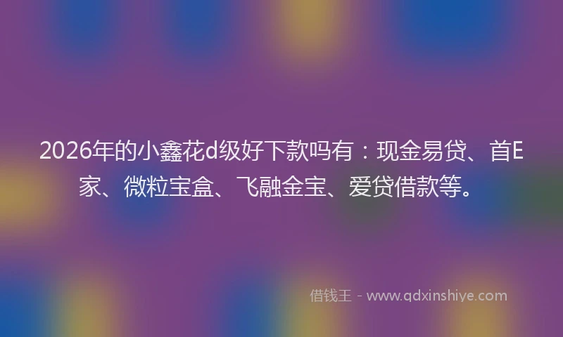 2026年的小鑫花d级好下款吗有：现金易贷、首E家、微粒宝盒、飞融金宝、爱贷借款等。