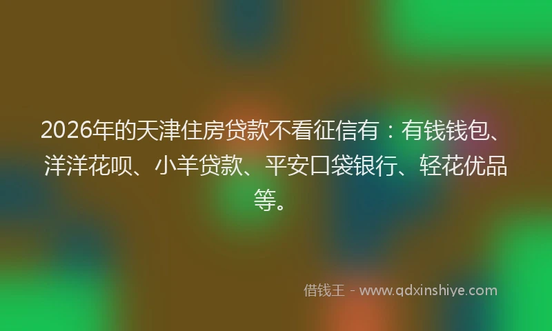 2026年的天津住房贷款不看征信有：有钱钱包、洋洋花呗、小羊贷款、平安口袋银行、轻花优品等。