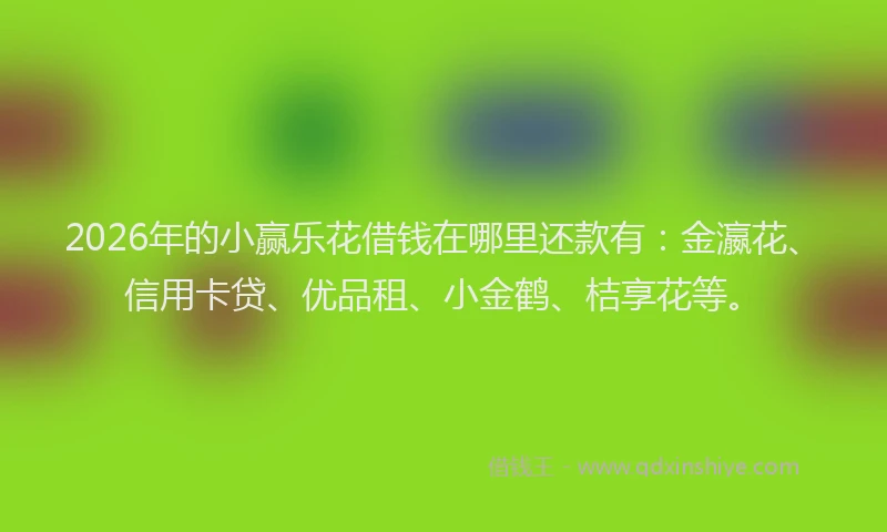 2026年的小赢乐花借钱在哪里还款有：金瀛花、信用卡贷、优品租、小金鹤、桔享花等。