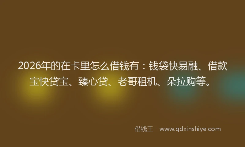 2026年的在卡里怎么借钱有:钱袋快易融、借款宝快贷宝、臻心贷、老哥租机、朵拉购等。