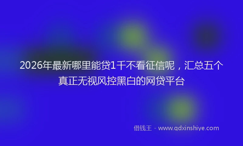 2026年最新哪里能贷1千不看征信呢,汇总五个真正无视风控黑白的网贷平台