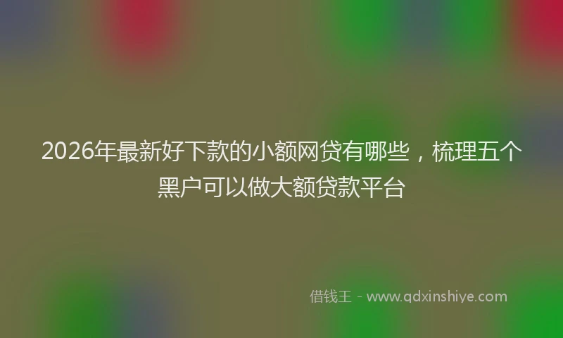 2026年最新好下款的小额网贷有哪些，梳理五个黑户可以做大额贷款平台