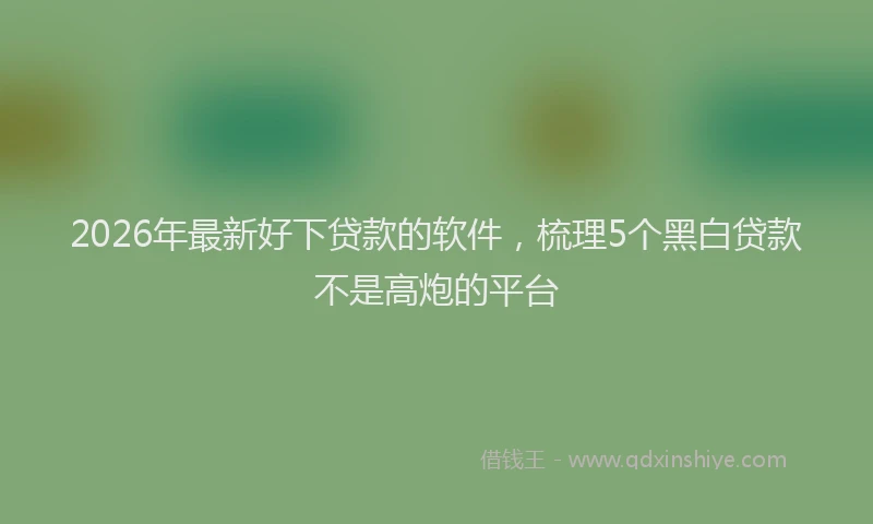 2026年最新好下贷款的软件，梳理5个黑白贷款不是高炮的平台