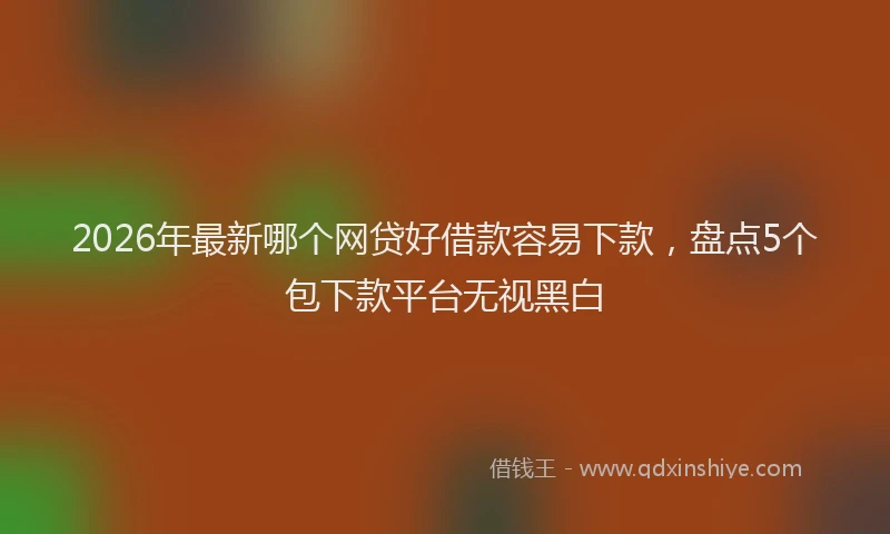 2026年最新哪个网贷好借款容易下款，盘点5个包下款平台无视黑白