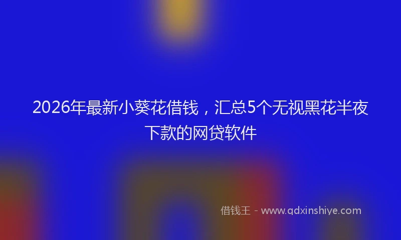 2026年最新小葵花借钱，汇总5个无视黑花半夜下款的网贷软件