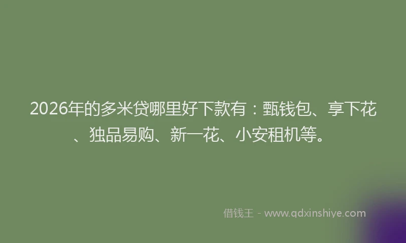 2026年的多米贷哪里好下款有:甄钱包、享下花、独品易购、新一花、小安租机等。
