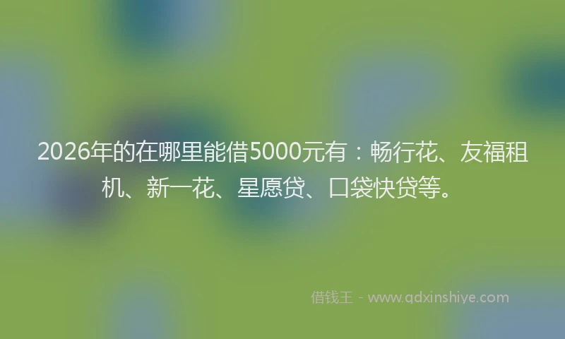 2026年的在哪里能借5000元有：畅行花、友福租机、新一花、星愿贷、口袋快贷等。
