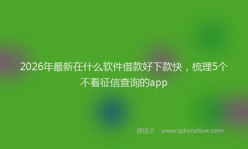 2026年最新在什么软件借款好下款快，梳理5个不看征信查询的app