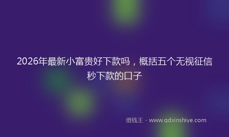 2026年最新小富贵好下款吗，概括五个无视征信秒下款的口子