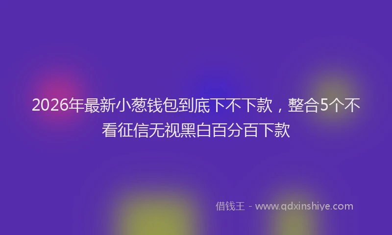 2026年最新小葱钱包到底下不下款，整合5个不看征信无视黑白百分百下款