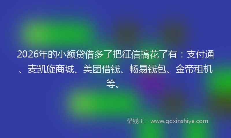 2026年的小额贷借多了把征信搞花了有：支付通、麦凯旋商城、美团借钱、畅易钱包、金帝租机等。