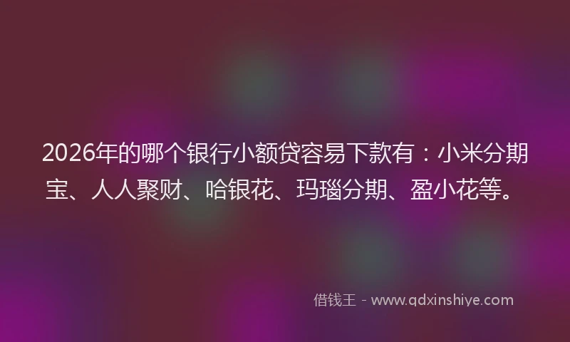 2026年的哪个银行小额贷容易下款有：小米分期宝、人人聚财、哈银花、玛瑙分期、盈小花等。