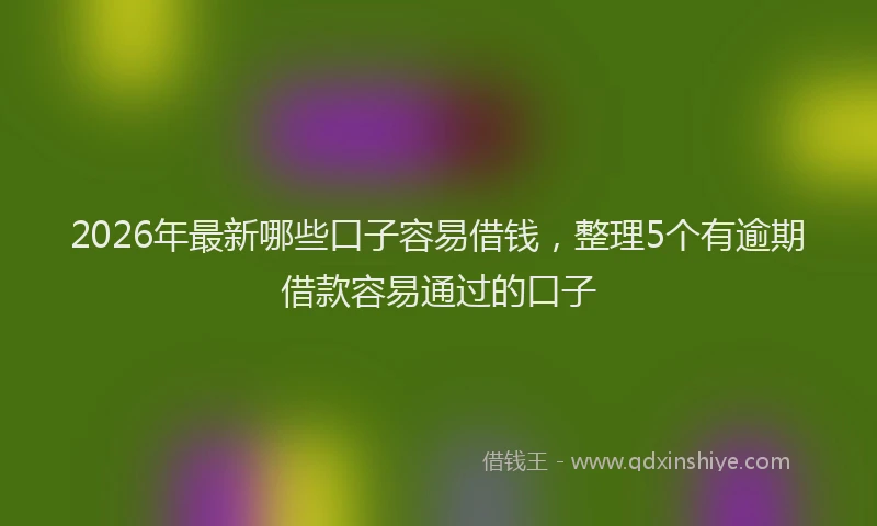 2026年最新哪些口子容易借钱，整理5个有逾期借款容易通过的口子