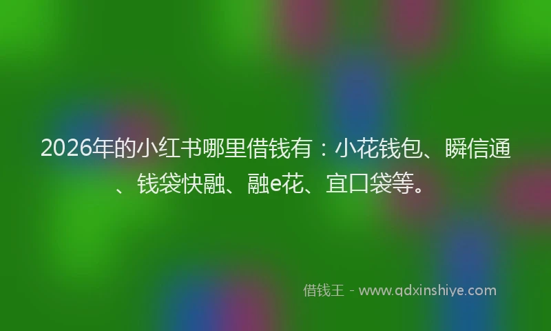 2026年的小红书哪里借钱有：小花钱包、瞬信通、钱袋快融、融e花、宜口袋等。