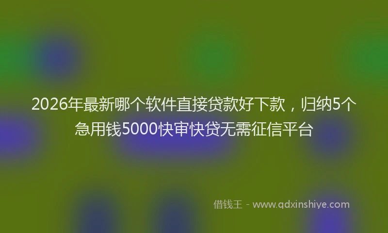 2026年最新哪个软件直接贷款好下款,归纳5个急用钱5000快审快贷无需征信平台