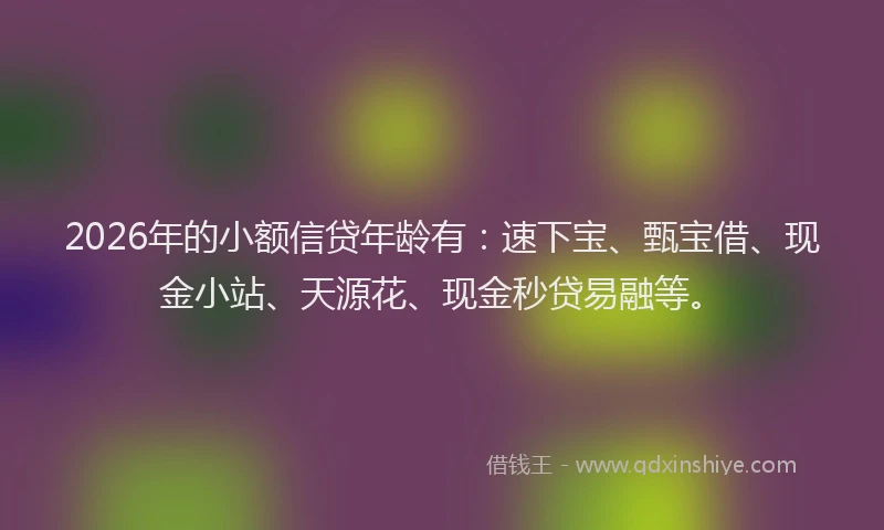 2026年的小额信贷年龄有：速下宝、甄宝借、现金小站、天源花、现金秒贷易融等。