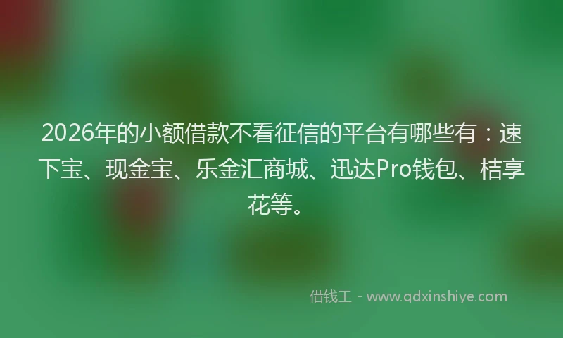 2026年的小额借款不看征信的平台有哪些有：速下宝、现金宝、乐金汇商城、迅达Pro钱包、桔享花等。