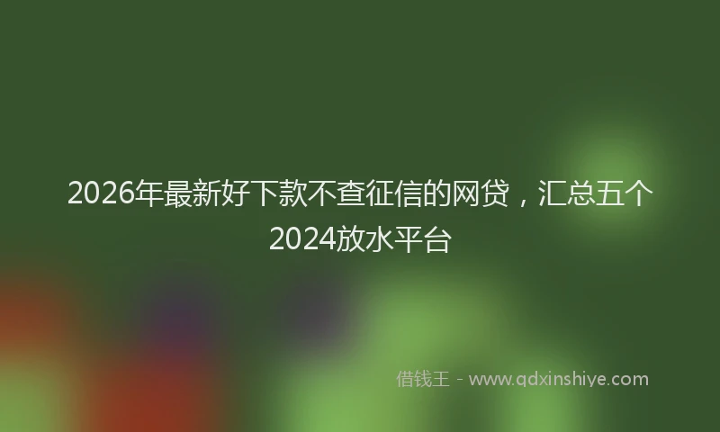 2026年最新好下款不查征信的网贷，汇总五个2024放水平台