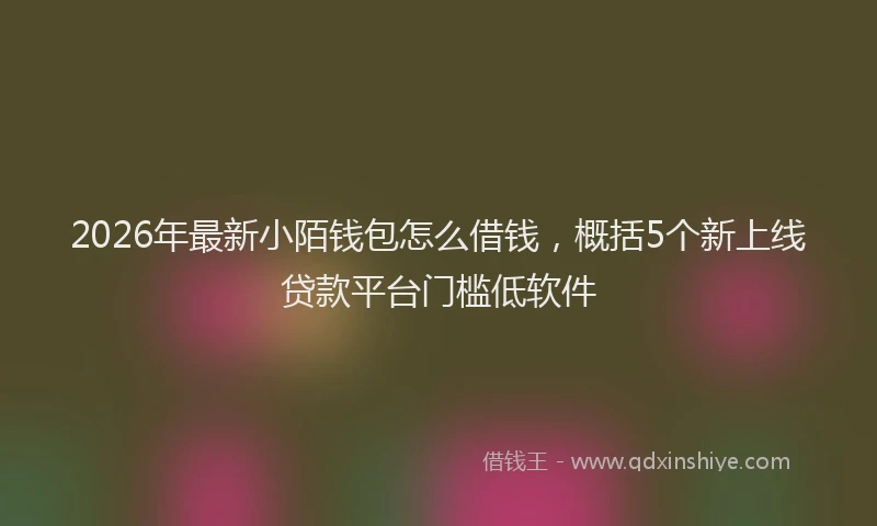 2026年最新小陌钱包怎么借钱，概括5个新上线贷款平台门槛低软件