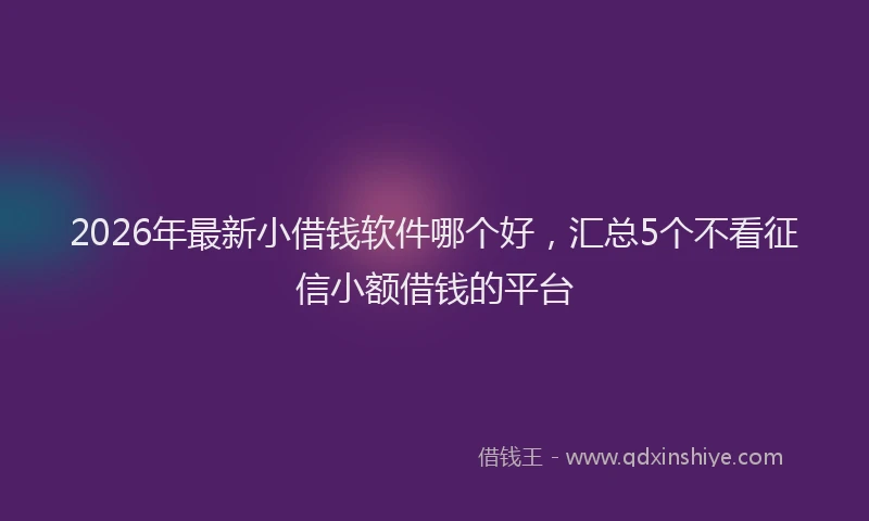 2026年最新小借钱软件哪个好，汇总5个不看征信小额借钱的平台