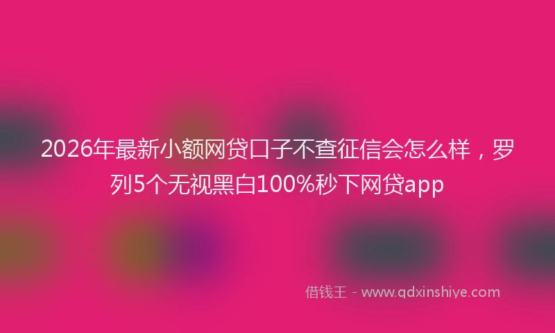2026年最新小额网贷口子不查征信会怎么样，罗列5个无视黑白100%秒下网贷app