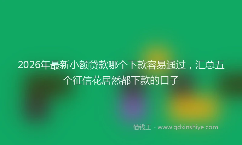 2026年最新小额贷款哪个下款容易通过，汇总五个征信花居然都下款的口子