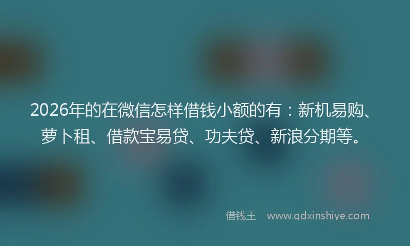 2026年的在微信怎样借钱小额的有：新机易购、萝卜租、借款宝易贷、功夫贷、新浪分期等。