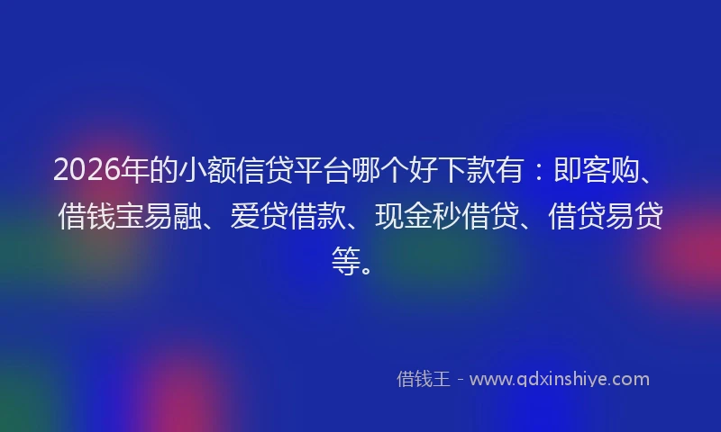 2026年的小额信贷平台哪个好下款有：即客购、借钱宝易融、爱贷借款、现金秒借贷、借贷易贷等。