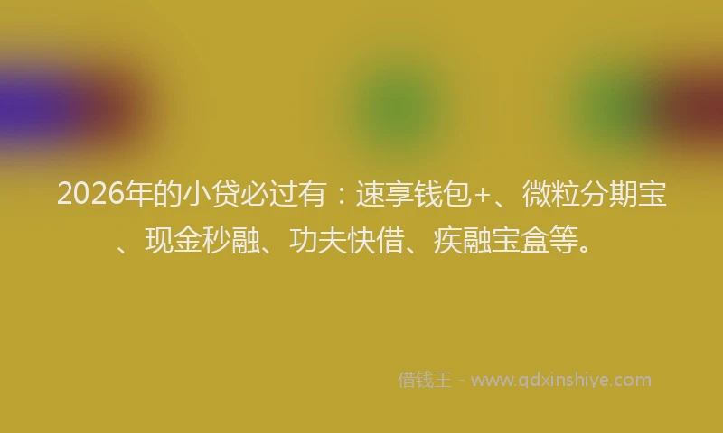 2026年的小贷必过有：速享钱包+、微粒分期宝、现金秒融、功夫快借、疾融宝盒等。