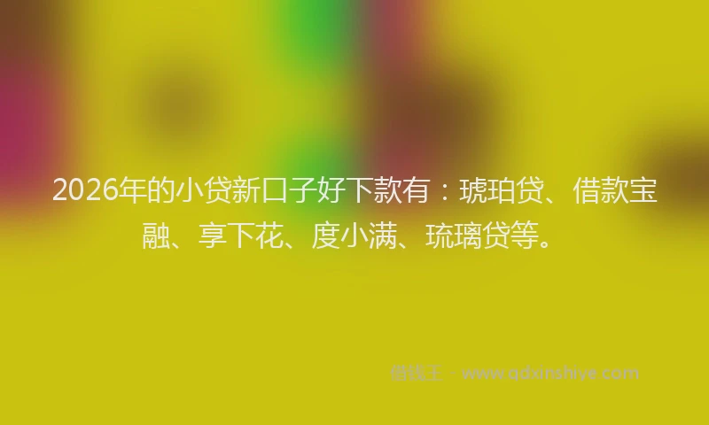 2026年的小贷新口子好下款有：琥珀贷、借款宝融、享下花、度小满、琉璃贷等。