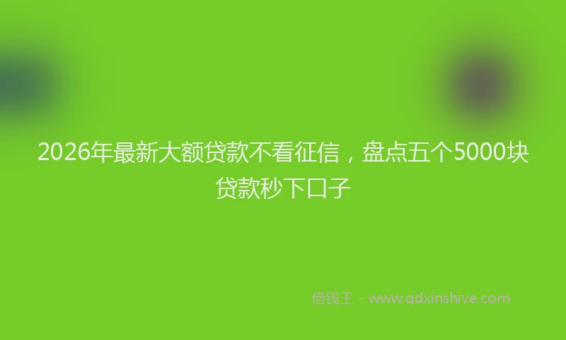2026年最新大额贷款不看征信，盘点五个5000块贷款秒下口子