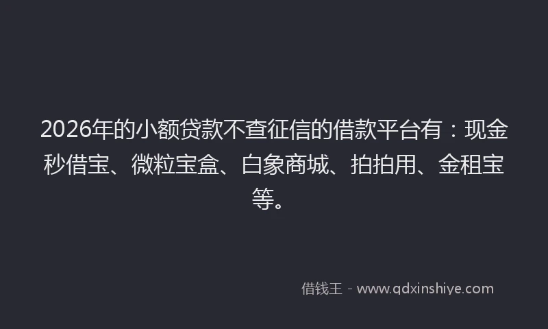 2026年的小额贷款不查征信的借款平台有：现金秒借宝、微粒宝盒、白象商城、拍拍用、金租宝等。