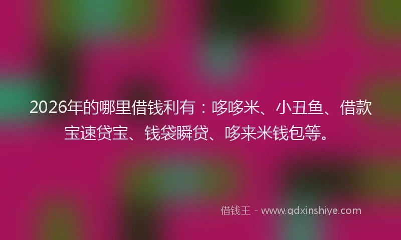 2026年的哪里借钱利有:哆哆米、小丑鱼、借款宝速贷宝、钱袋瞬贷、哆来米钱包等。