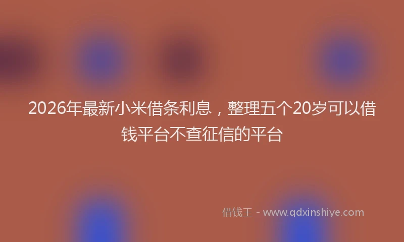 2026年最新小米借条利息，整理五个20岁可以借钱平台不查征信的平台