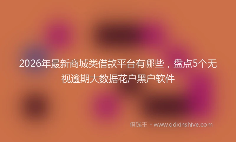 2026年最新商城类借款平台有哪些，盘点5个无视逾期大数据花户黑户软件
