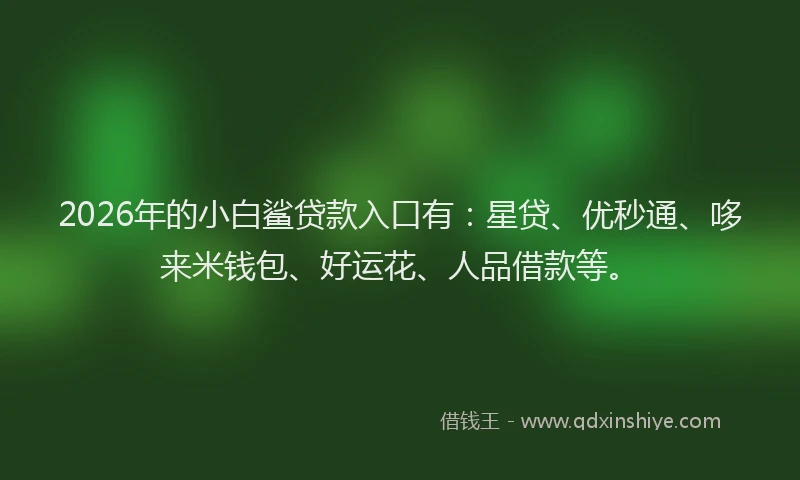 2026年的小白鲨贷款入口有：星贷、优秒通、哆来米钱包、好运花、人品借款等。
