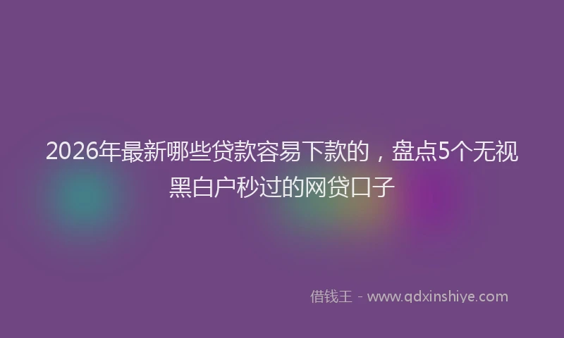 2026年最新哪些贷款容易下款的,盘点5个无视黑白户秒过的网贷口子