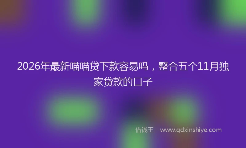 2026年最新喵喵贷下款容易吗,整合五个11月独家贷款的口子