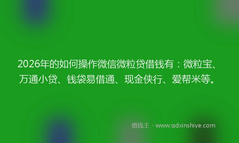 2026年的如何操作微信微粒贷借钱有：微粒宝、万通小贷、钱袋易借通、现金侠行、爱帮米等。