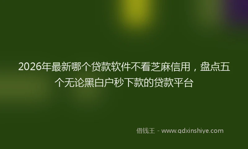 2026年最新哪个贷款软件不看芝麻信用,盘点五个无论黑白户秒下款的贷款平台
