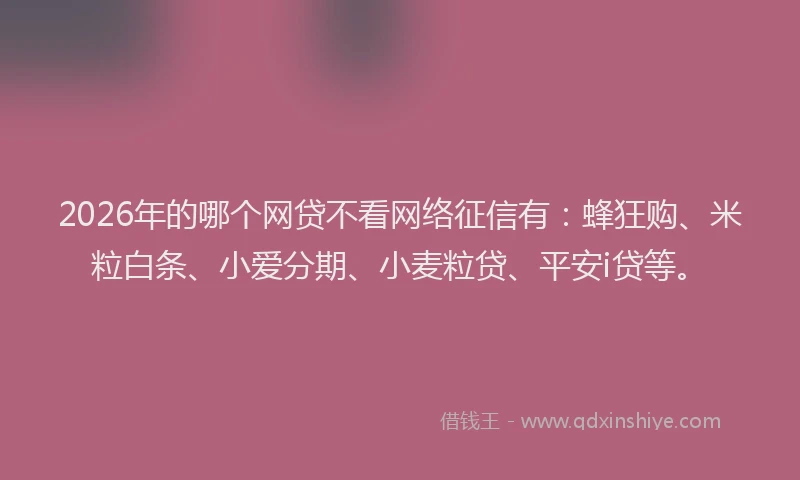 2026年的哪个网贷不看网络征信有:蜂狂购、米粒白条、小爱分期、小麦粒贷、平安i贷等。