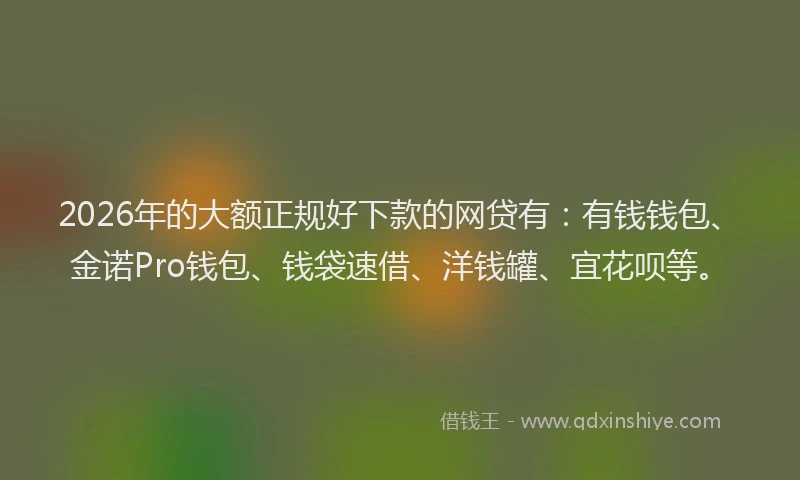 2026年的大额正规好下款的网贷有：有钱钱包、金诺Pro钱包、钱袋速借、洋钱罐、宜花呗等。