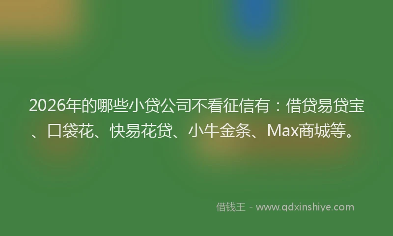 2026年的哪些小贷公司不看征信有:借贷易贷宝、口袋花、快易花贷、小牛金条、Max商城等。