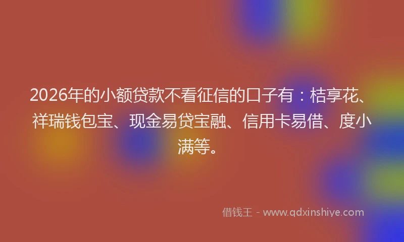 2026年的小额贷款不看征信的口子有：桔享花、祥瑞钱包宝、现金易贷宝融、信用卡易借、度小满等。