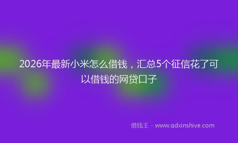 2026年最新小米怎么借钱，汇总5个征信花了可以借钱的网贷口子