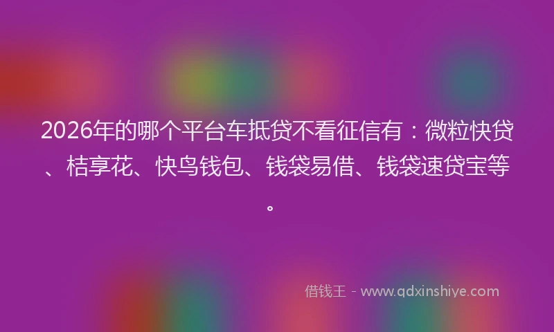 2026年的哪个平台车抵贷不看征信有：微粒快贷、桔享花、快鸟钱包、钱袋易借、钱袋速贷宝等。